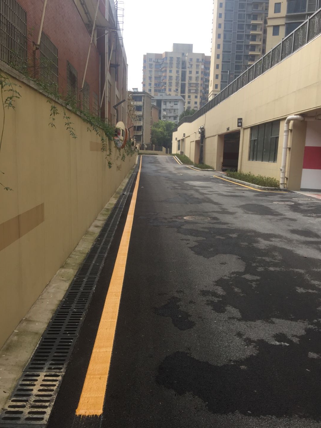微信圖片_20210318155439.jpg