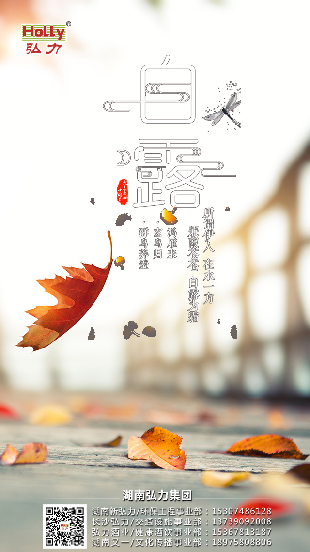 弘力集團，白露.jpg